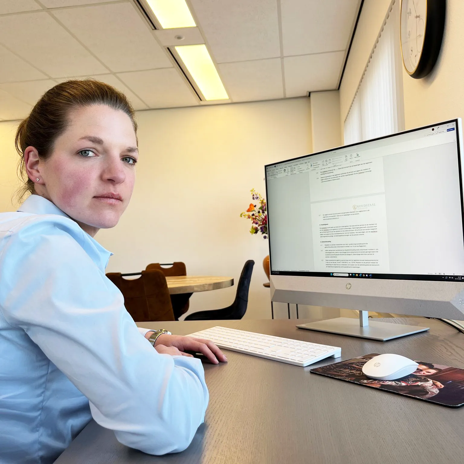 Koudstaal mediation in Vlaardingen Koudstaal mediation in Vlaardingen